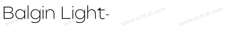 Balgin Light字体转换